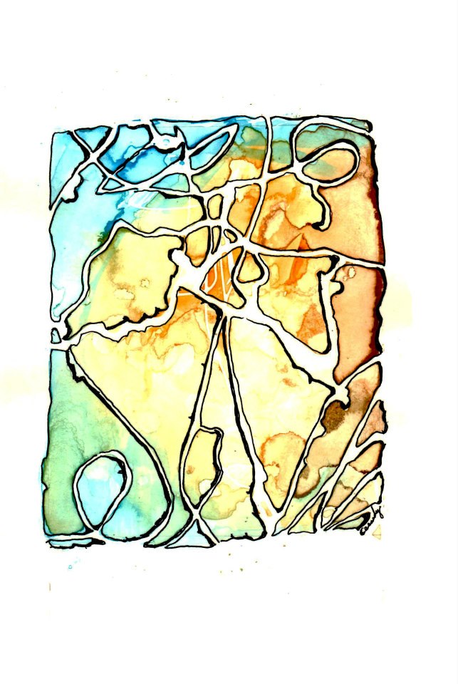 224817_10151380292811614_1265501778_n